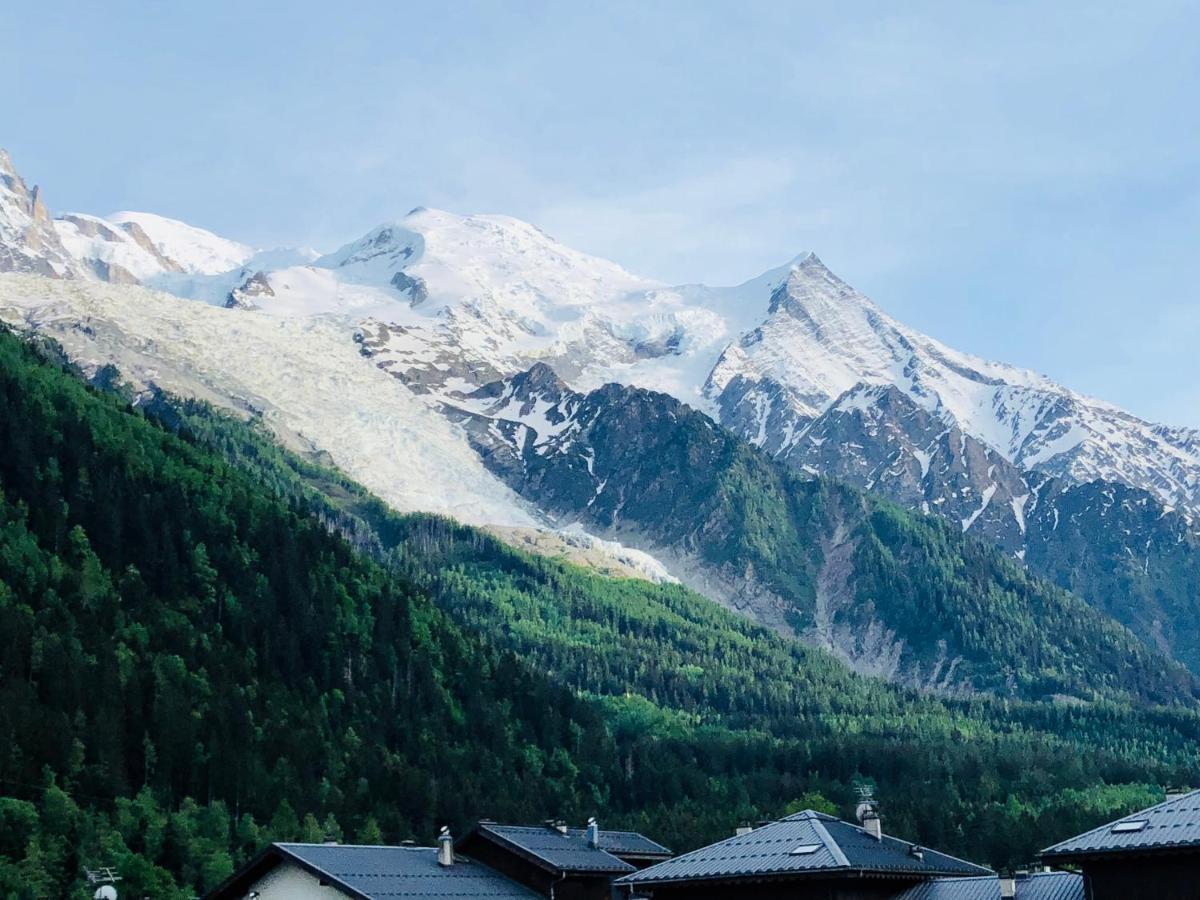 샤모니 Mont Blanc 43, Vue Mont Blanc , Balcon, Parking 아파트 외부 사진